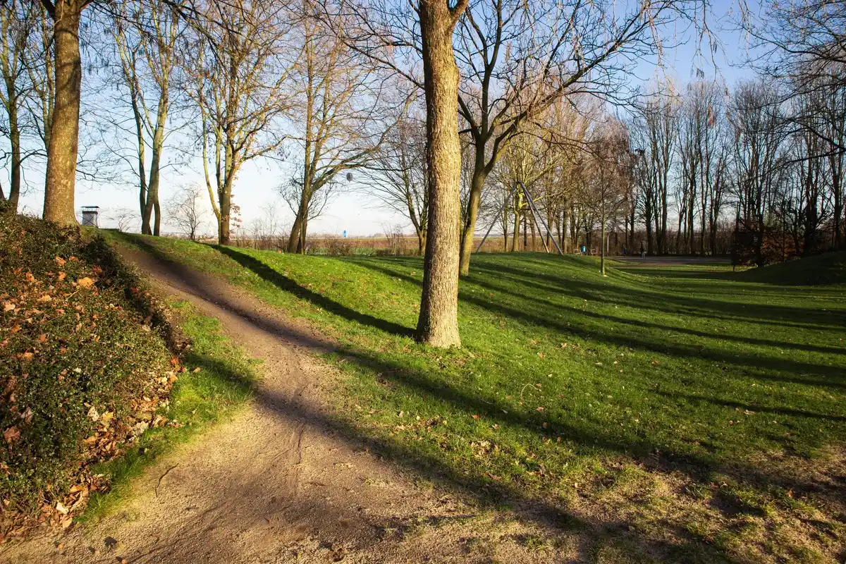 Dutch garden with mulch and healthy grass