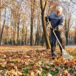 Dutch lawn fertilizing spring autumn garden