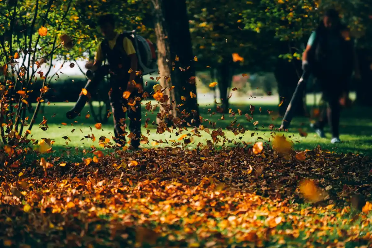 Lawn fertilizing autumn garden tools Netherlands