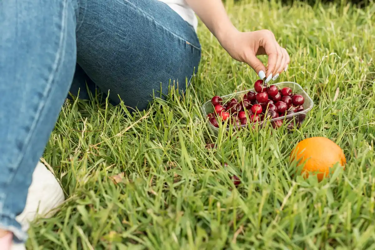 Dutch garden berry bushes healthy fruit