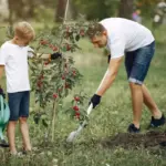 fruit tree planting mistakes backyard Netherlands