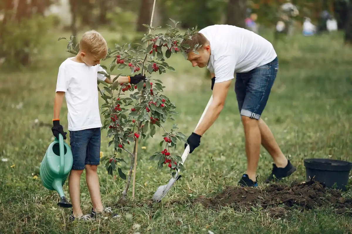 fruit tree planting mistakes backyard Netherlands