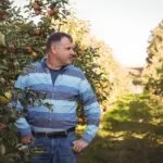 apple pear cherry trees in dutch garden