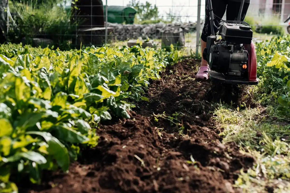 gardening mulch technique backyard Netherlands