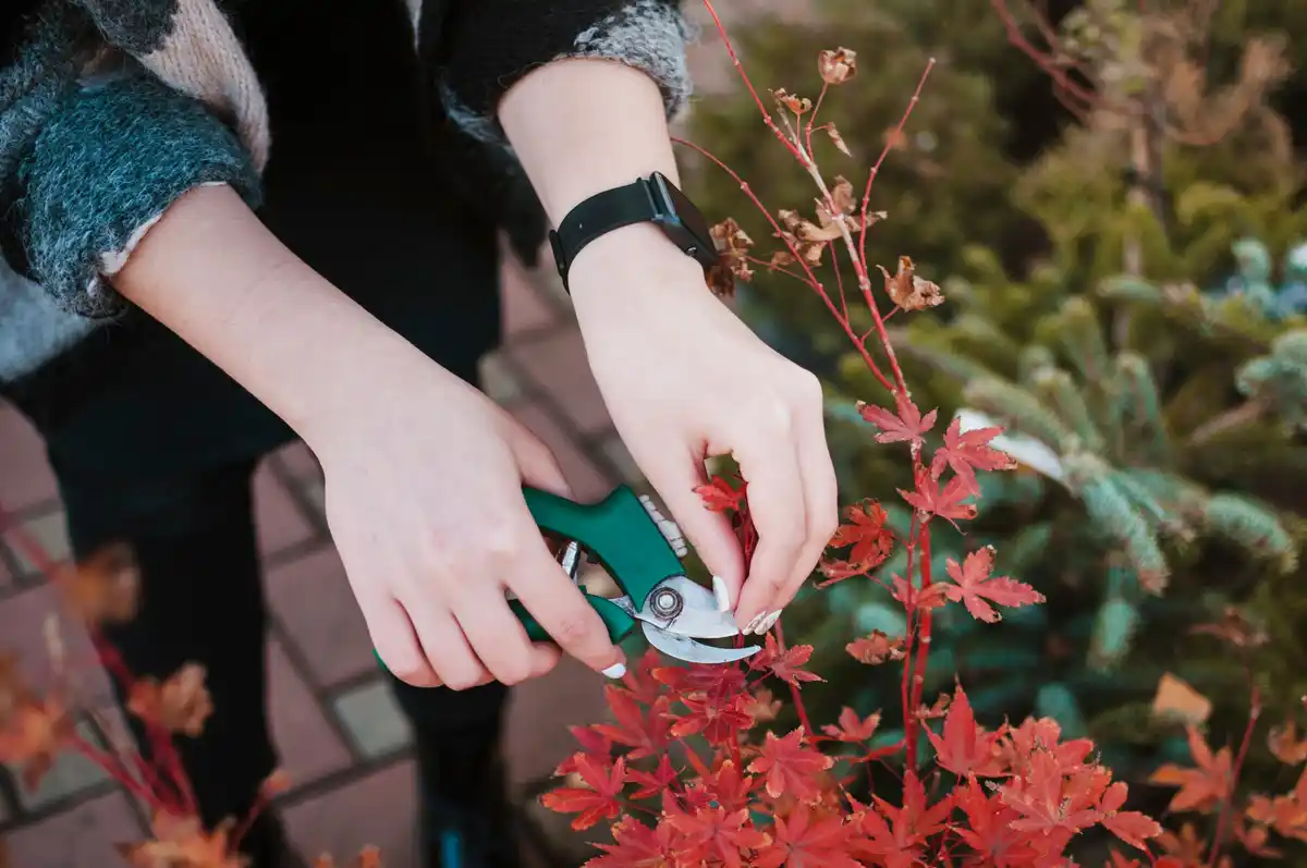 cordless garden tools in use