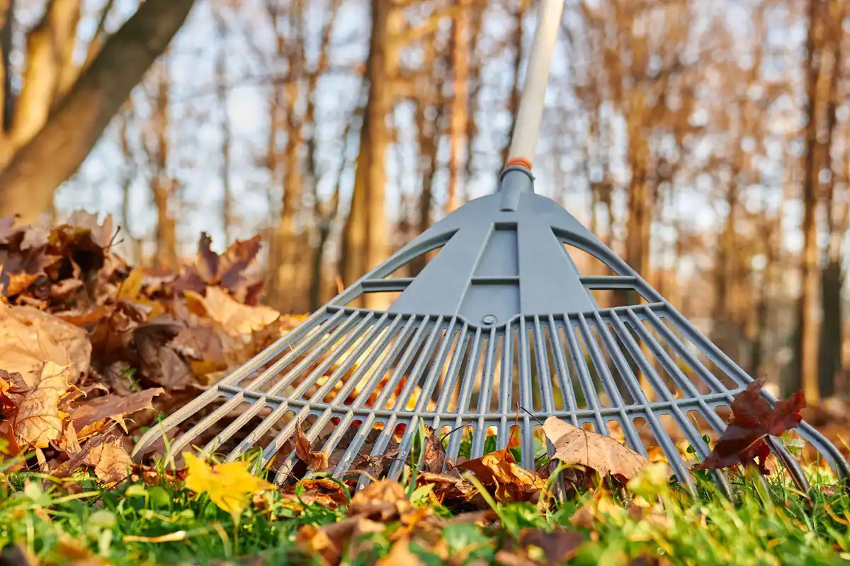 leaf blower clearing autumn leaves