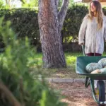 best garden tools Dutch garden backyard