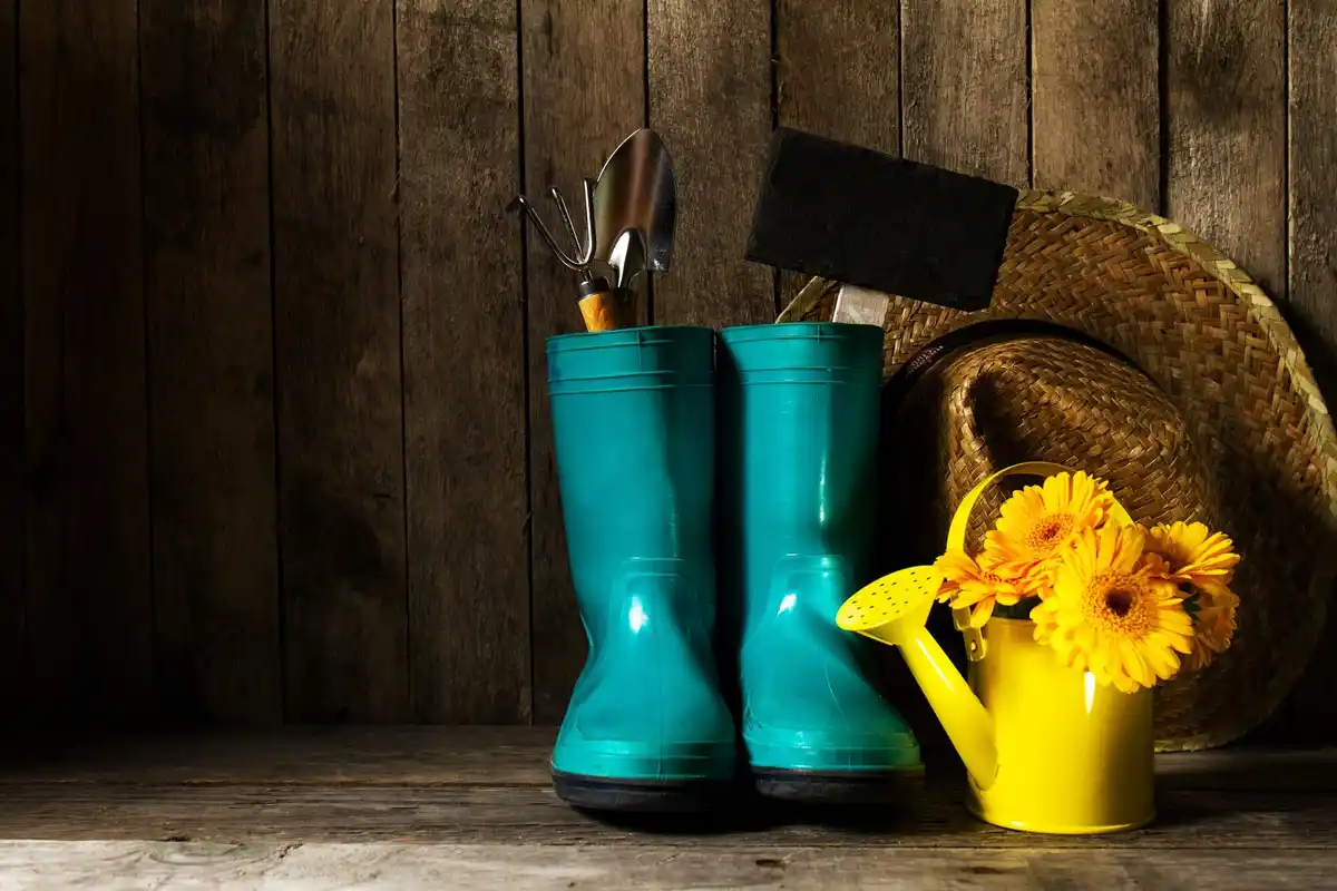innovative Dutch gardening tools outdoors
