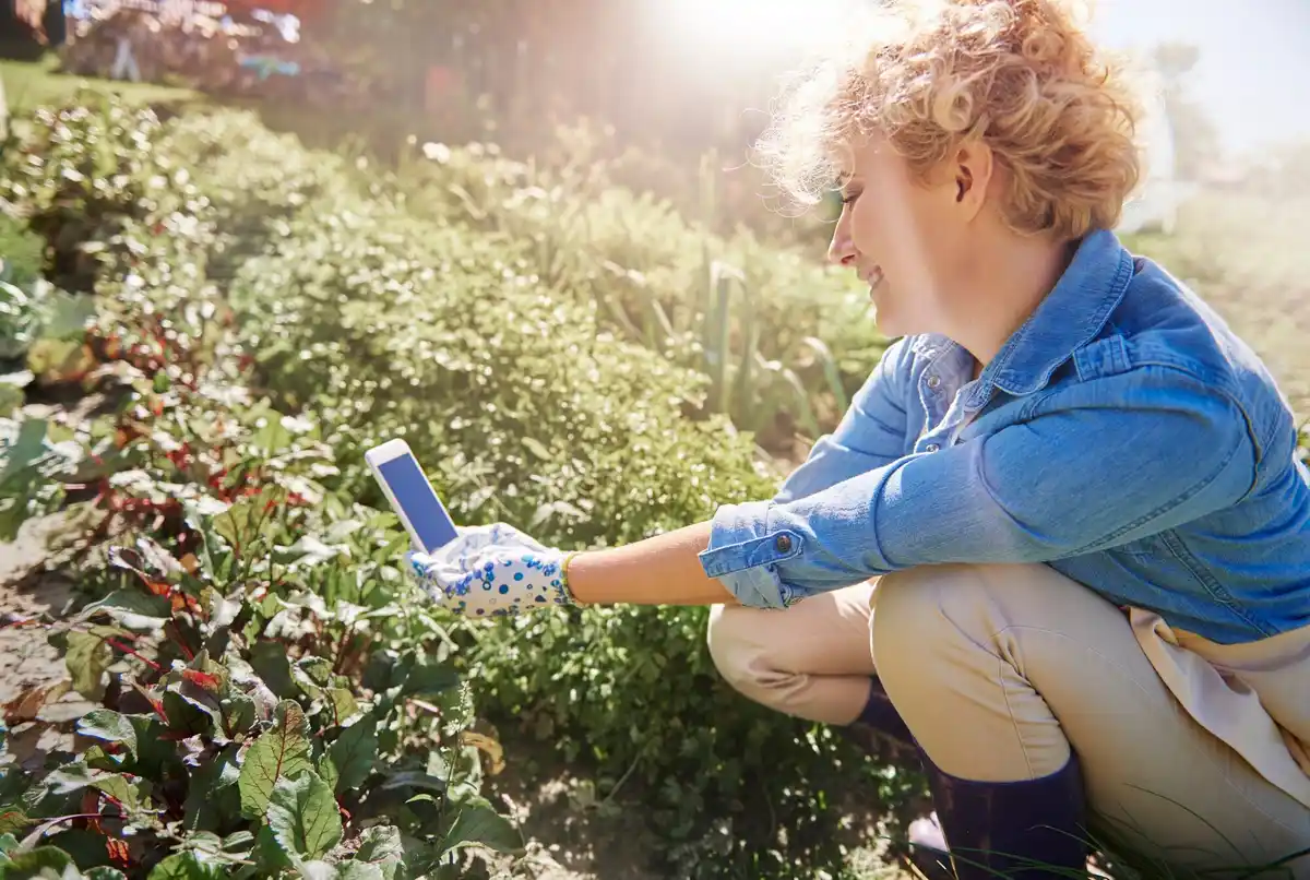 Smart soil moisture meter garden Netherlands