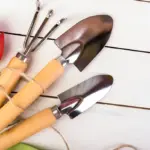 well-maintained garden tools outdoor maintenance Dutch garden