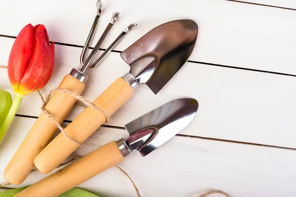 well-maintained garden tools outdoor maintenance Dutch garden