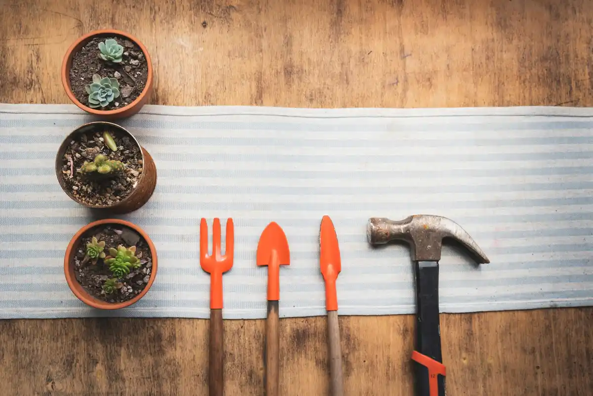 garden tools budget comparison Netherlands