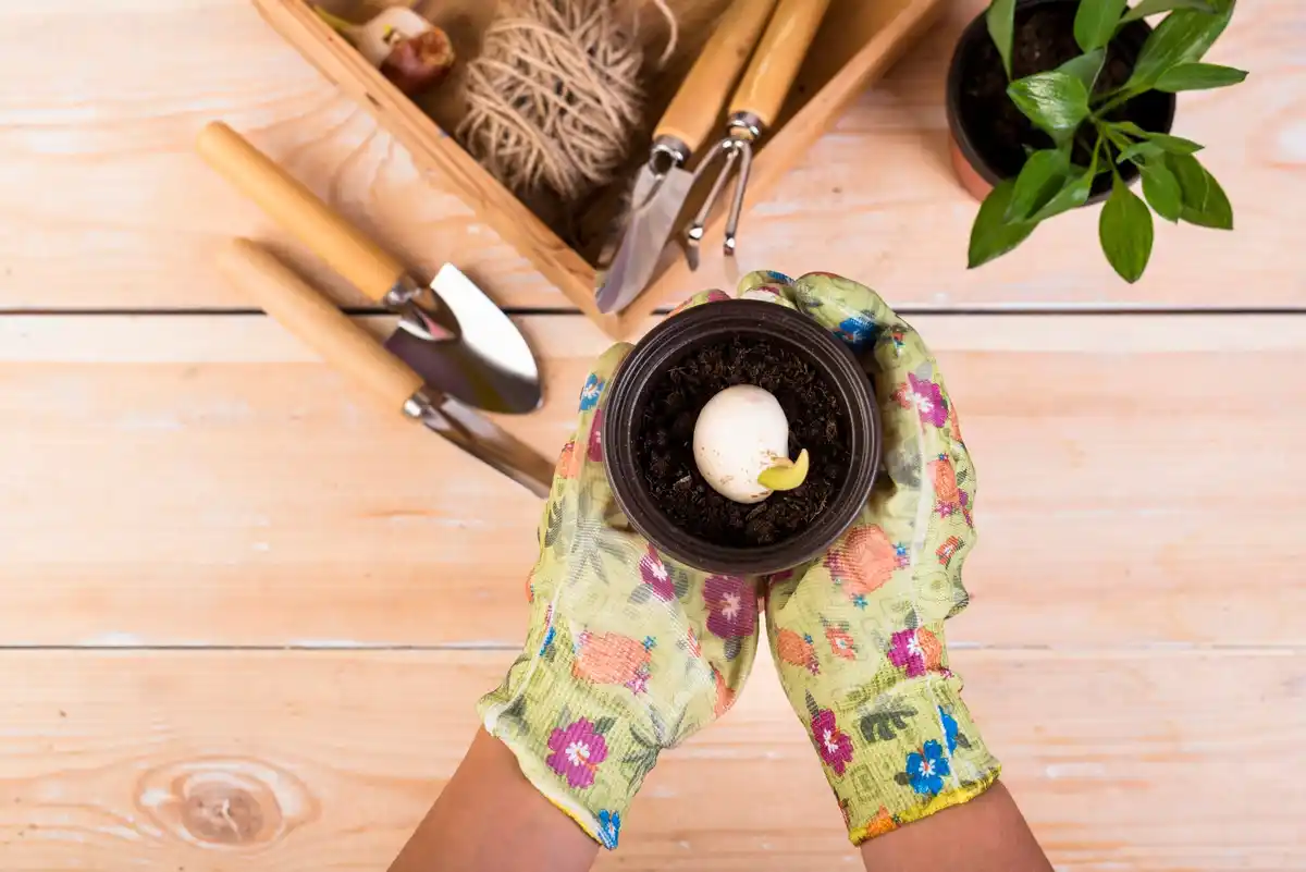 garden tools budget friendly