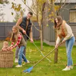easy garden repair tools Dutch backyard