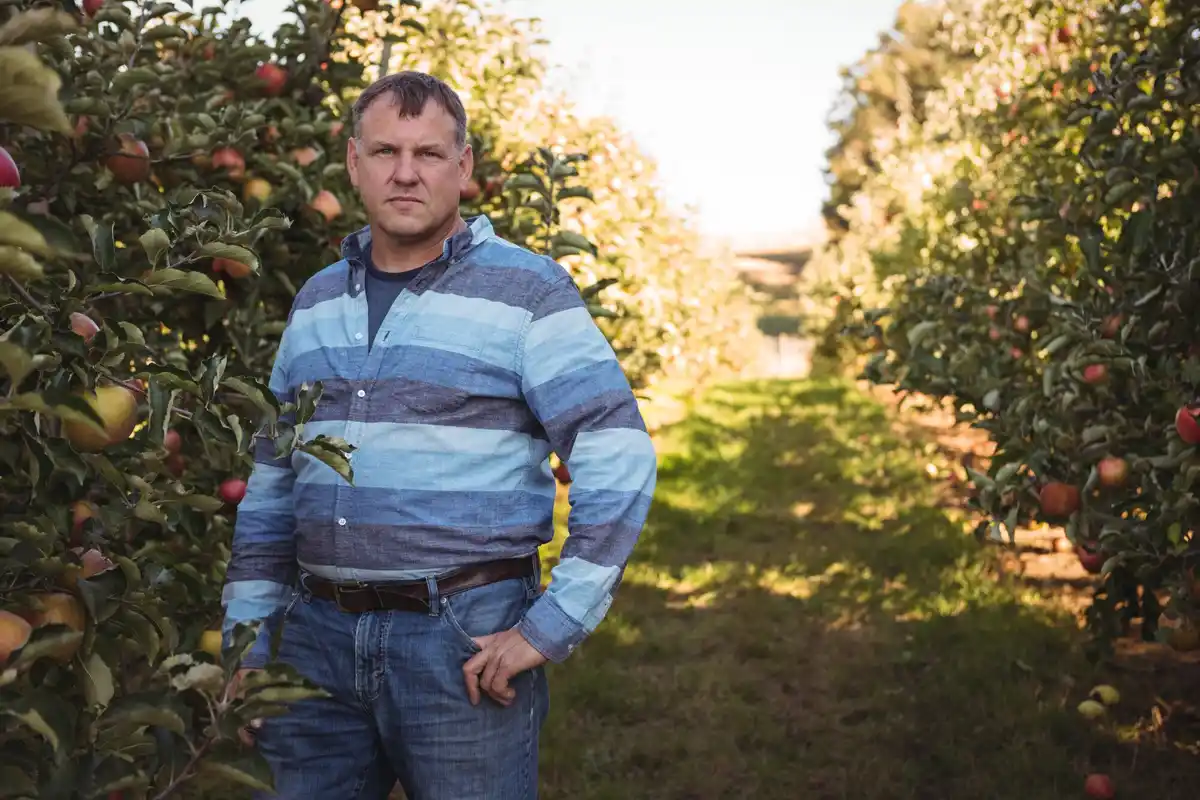 fruit garden orchard netherlands