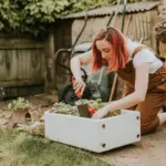 organic vegetable garden backyard herbs compost
