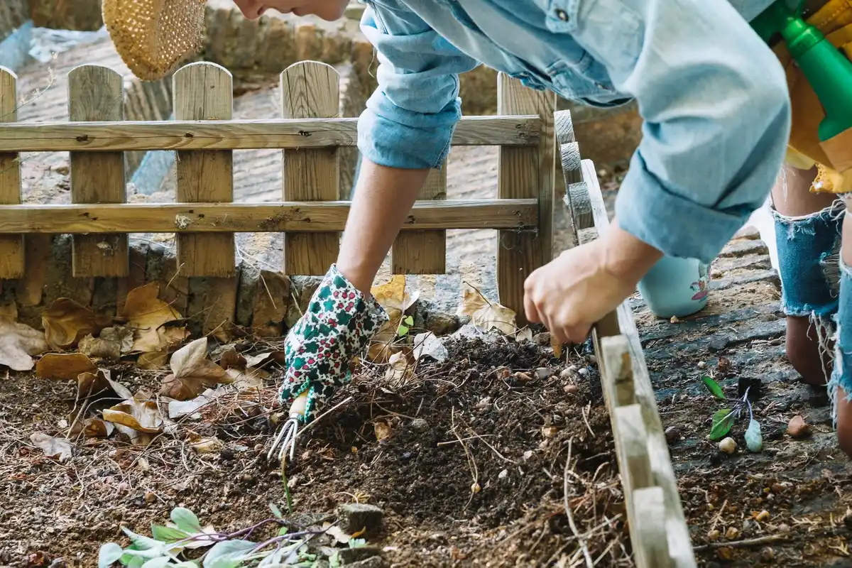 organic vegetable garden with herbs and compost