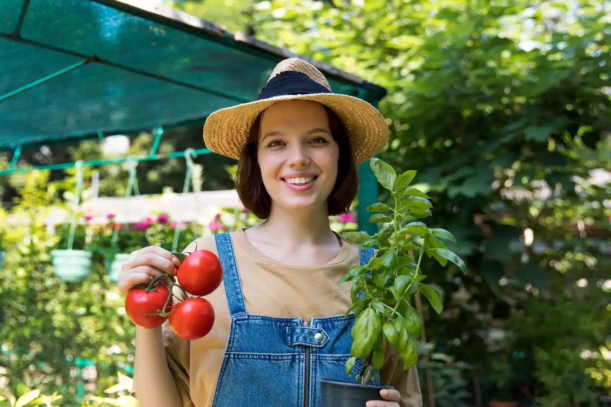 organic home garden vegetables Netherlands