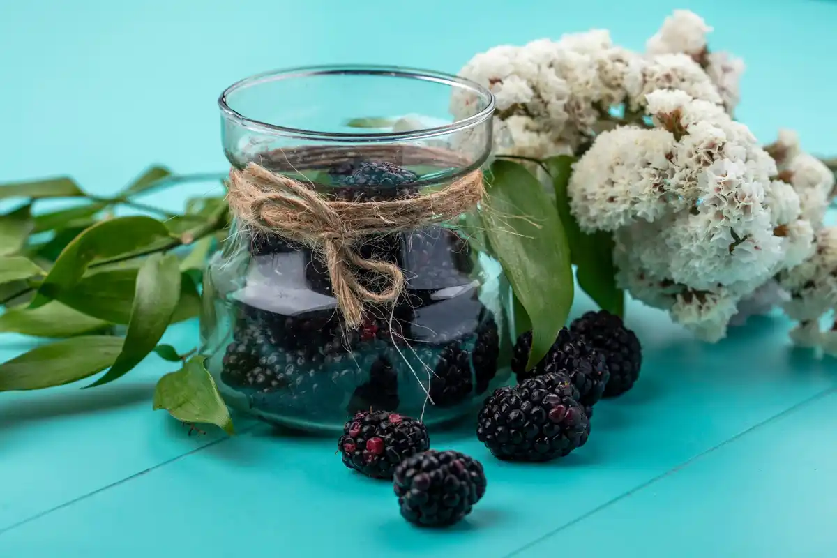 blackberry bush home garden
