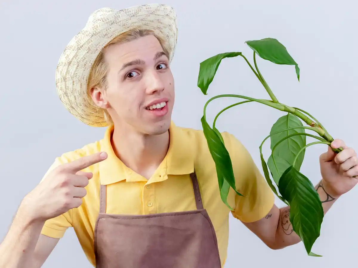 garden plant disease mistake
