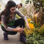 common garden plant diseases Netherlands