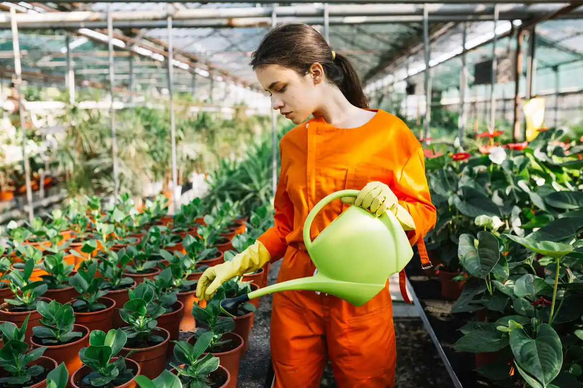 common plant diseases Dutch garden