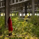 natural plant disease prevention garden Netherlands