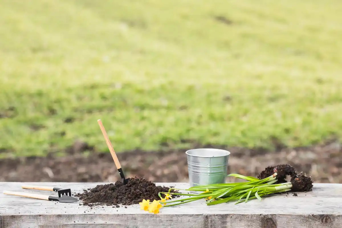 healthy garden soil and compost Netherlands