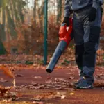 organic garden pests natural control netherlands