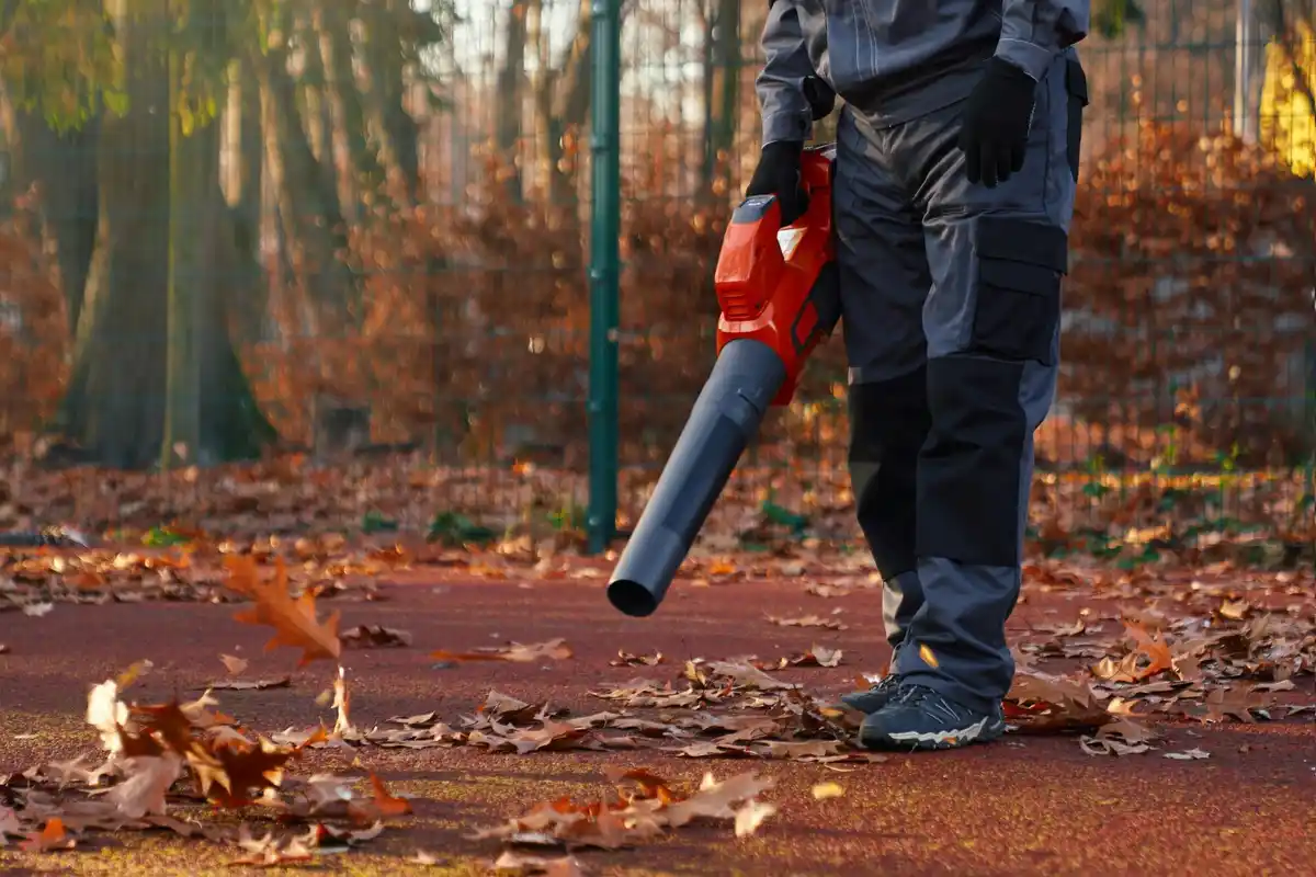 organic garden pests natural control netherlands