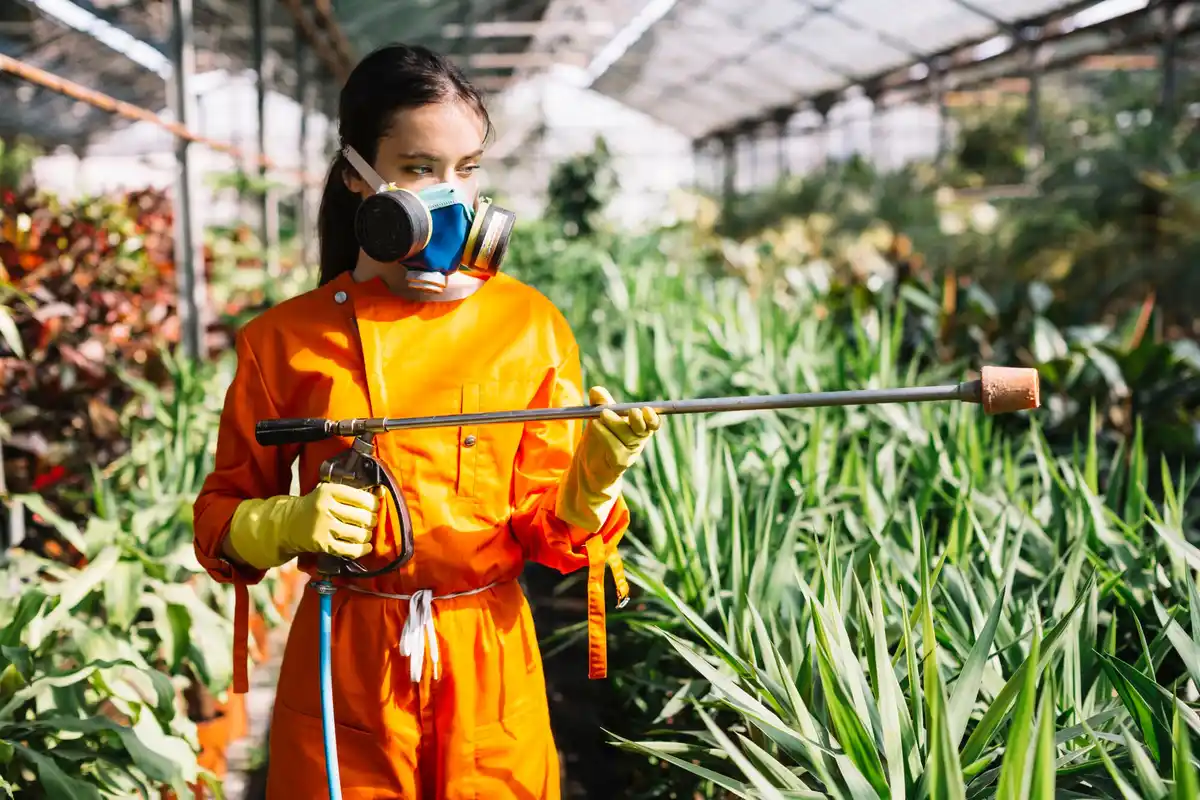organic garden pest control netherlands