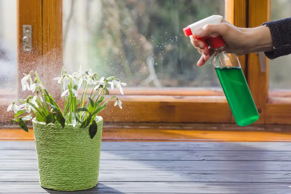 natural aphid control garden
