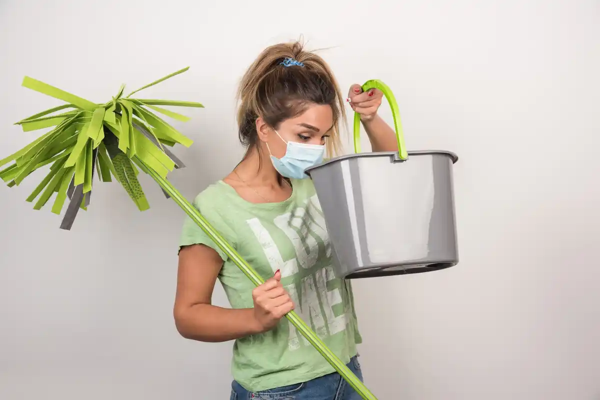 natural remedy for plant mold