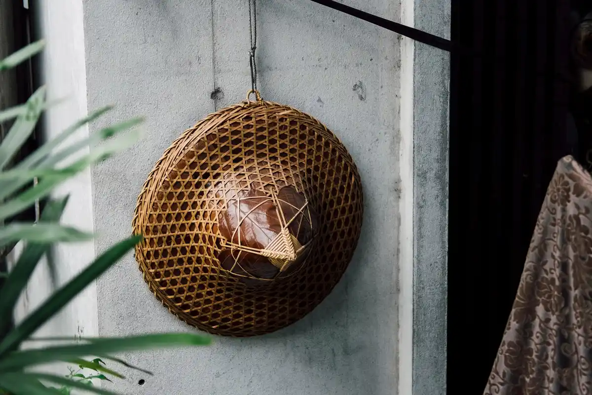 reflective cds hanging in garden