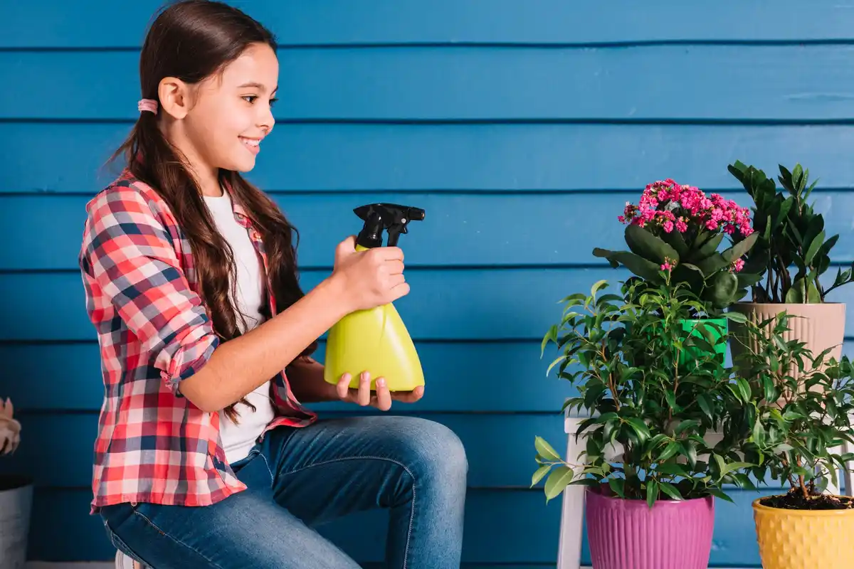 garden disease prevention tips