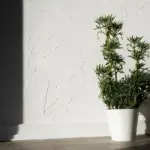 bright indoor plants living room natural light