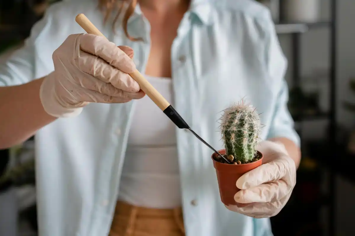 close up of hands repotting houseplant soil plant care