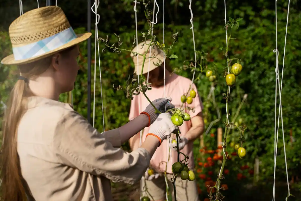 community ecological garden people harvesting vegetables Netherlands