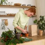 low maintenance indoor plants dutch home