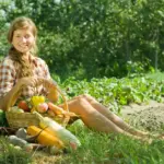 organic vegetable garden bright healthy plants