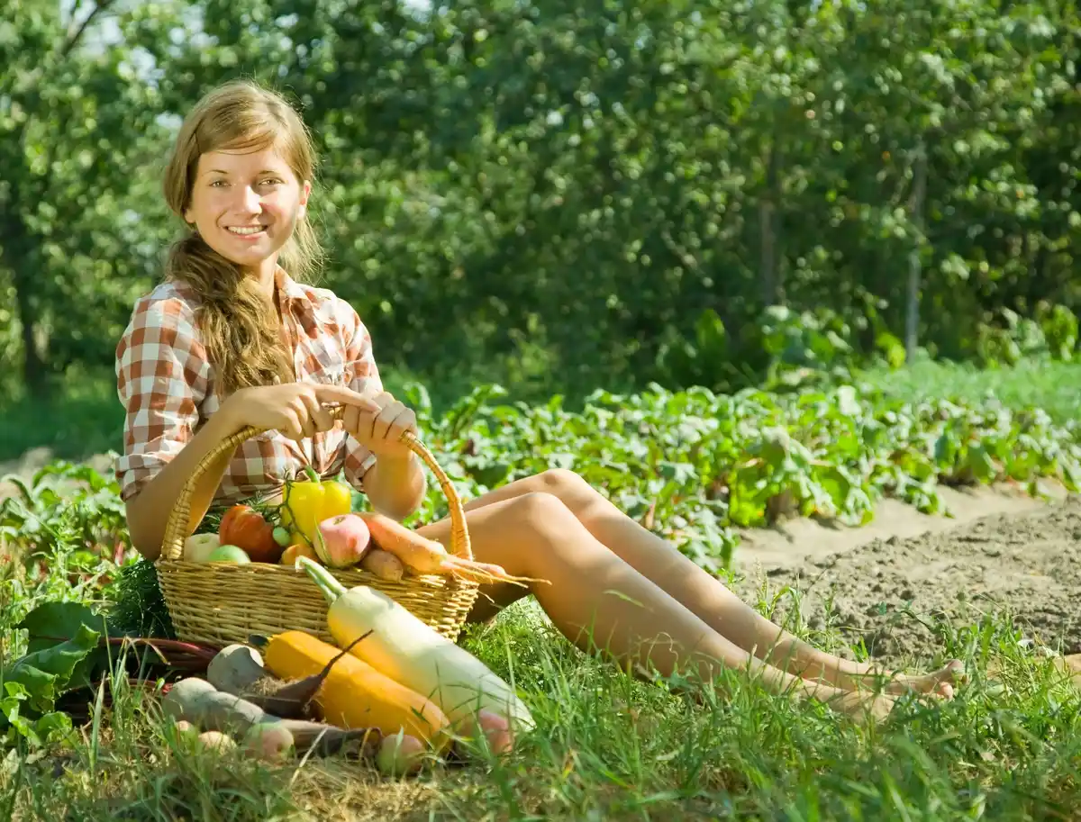 organic vegetable garden bright healthy plants