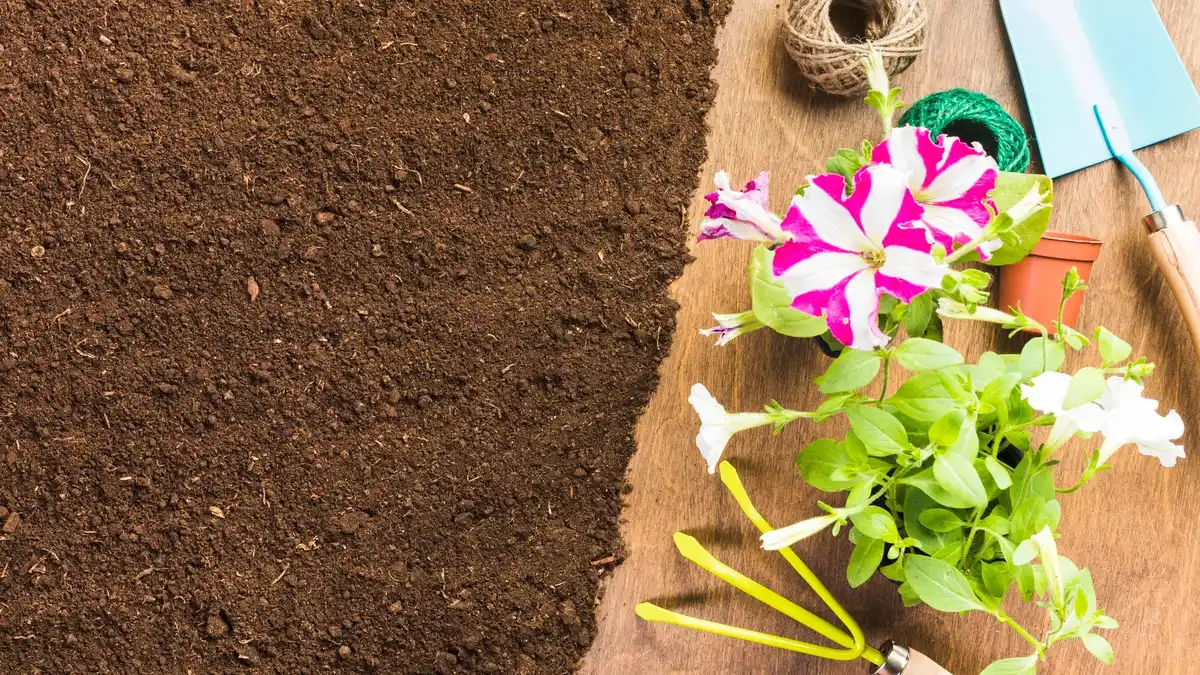 organic garden soil compost