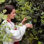 eco-friendly garden pest control natural insects plants
