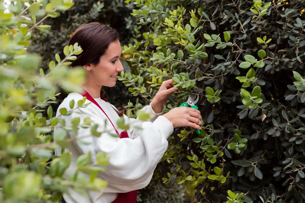 eco-friendly garden pest control natural insects plants