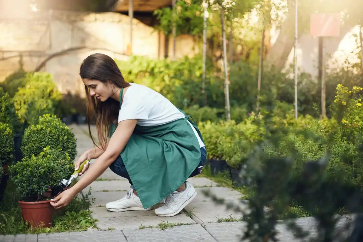 healthy green backyard garden plants natural pest control