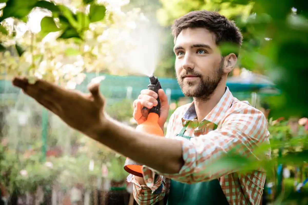 homemade natural pest control garden
