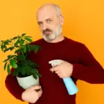 common garden plant diseases symptoms