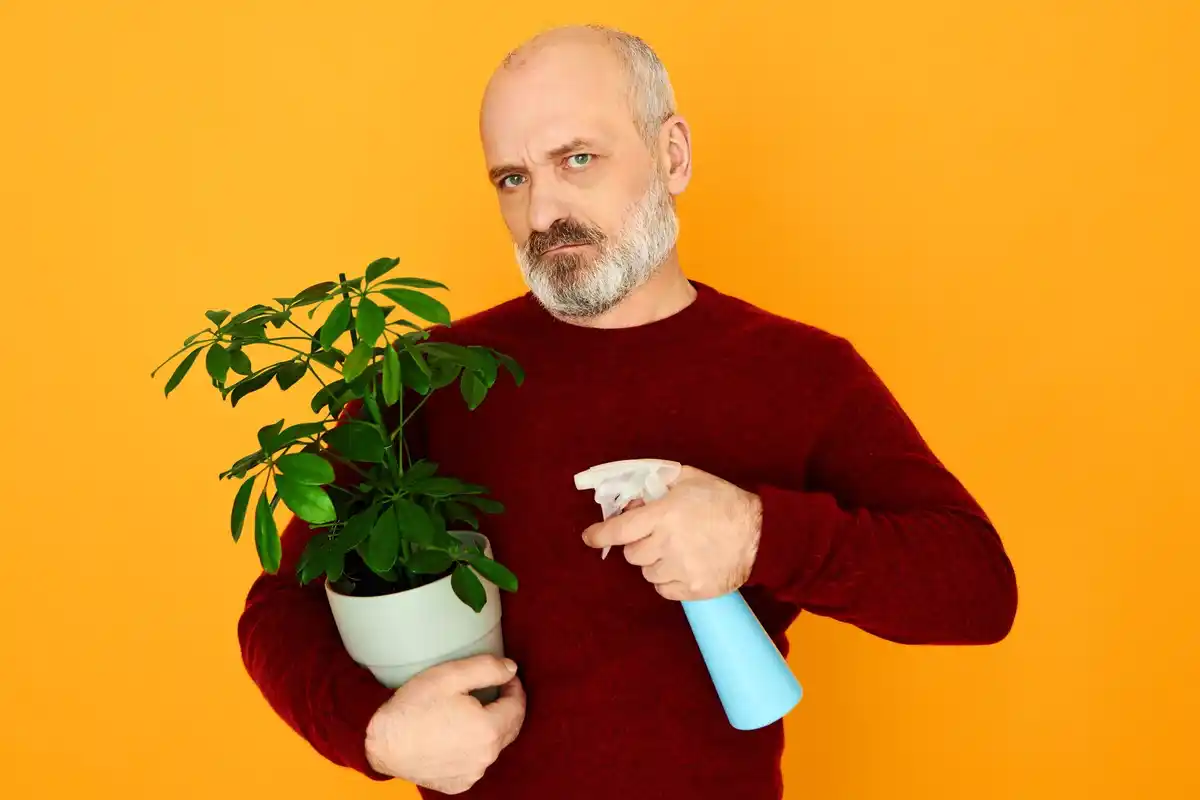common garden plant diseases symptoms