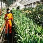 organic pest control in vegetable garden netherlands