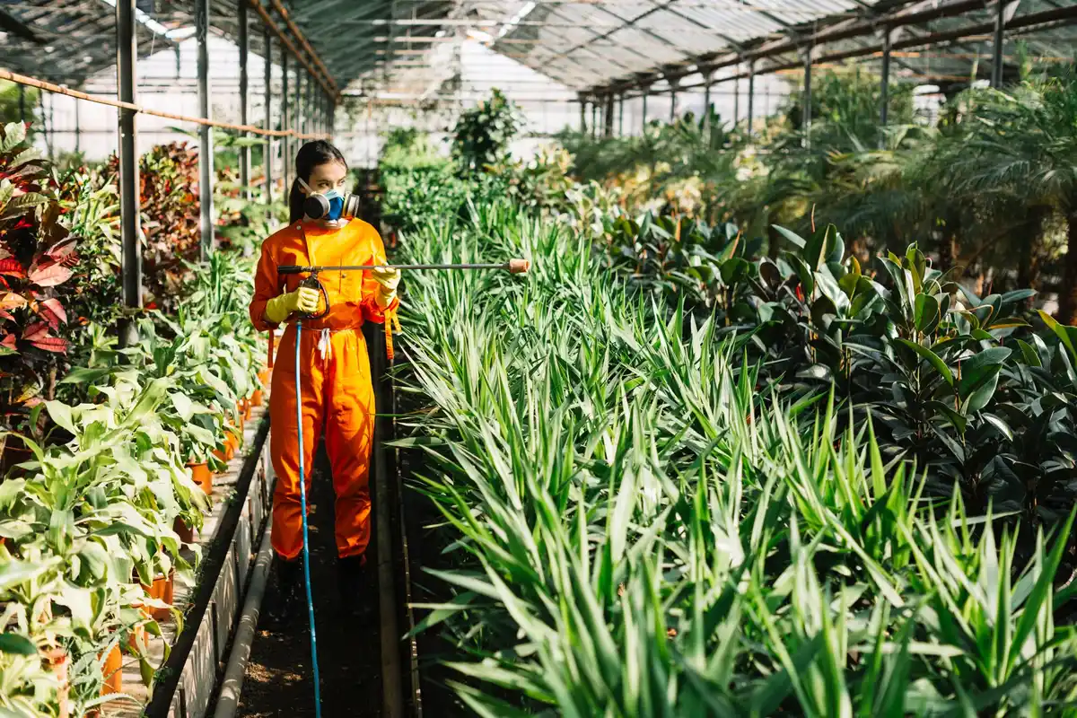 organic pest control in vegetable garden netherlands